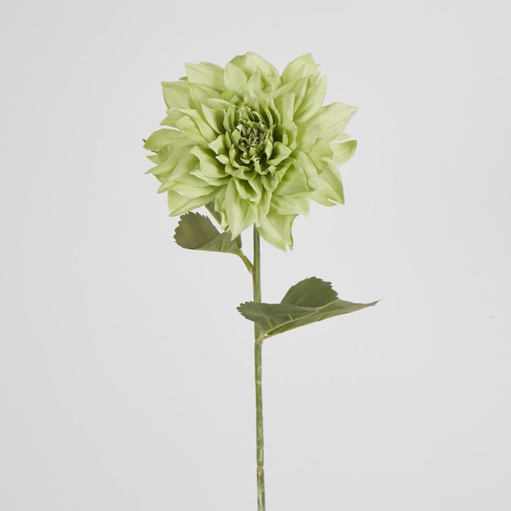 62cm Green Dahlia