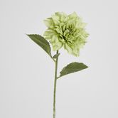 62cm Green Dahlia