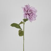 62cm Lavender Dahlia