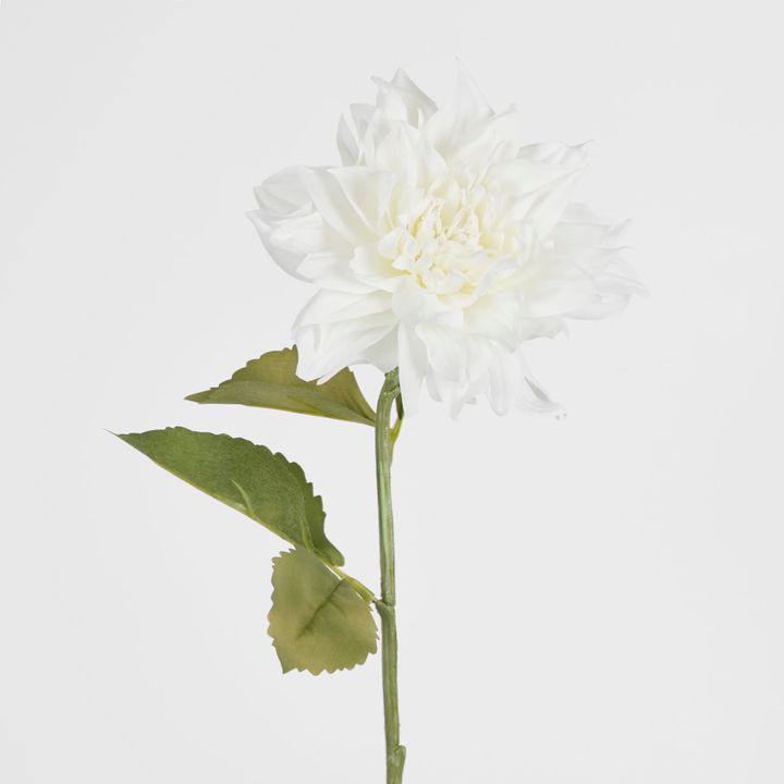 62cm White Dahlia