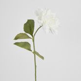 62cm White Dahlia