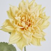 62cm Yellow Dahlia