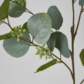 87cm Green Eucalyptus with Seed