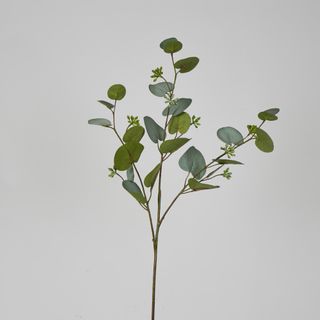 71cm Grey Green Eucalyptus with Seed