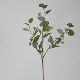 71cm Grey Green Eucalyptus with Seed