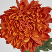 76cm Chrysanthemum