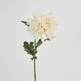 76cm Chrysanthemum