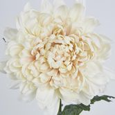 76cm Chrysanthemum