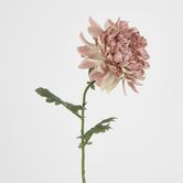 76cm Chrysanthemum