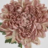 76cm Chrysanthemum