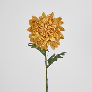 76cm Chrysanthemum