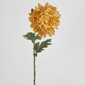 76cm Chrysanthemum