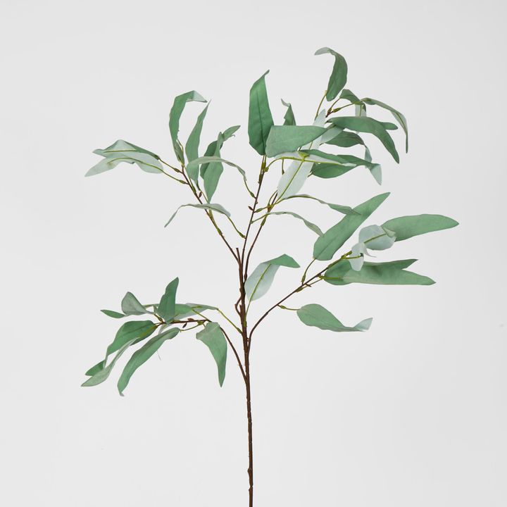 98cm Grey Eucalyptus Saligna Branch