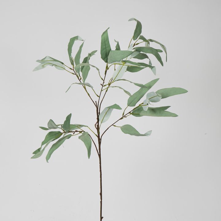 98cm Grey Eucalyptus Saligna Branch