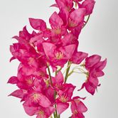 83cm Fuchsia Bougainvillea Branch