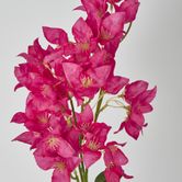 83cm Fuchsia Bougainvillea Branch