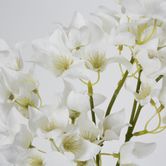 83cm White Bougainvillea Branch