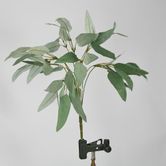 40cm Green Eucalyptus Leaf Bush