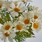 32cm White Daisy Bush