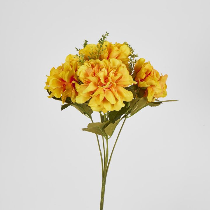 Gold Marigold Bush x 5