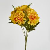 Gold Marigold Bush x 5