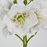 White Christmas Rose Bouquet 31cm