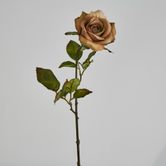 Long Stem Rose Capaccino