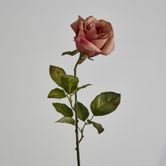 Long Stem Rose Dusty Pink