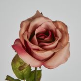 Long Stem Rose Dusty Pink