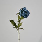 Long Stem Rose Blue