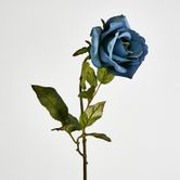 Long Stem Rose Blue