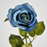 Long Stem Rose Blue