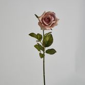 Long Stem Dusty Pastel Pink Rose