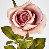 Long Stem Dusty Pastel Pink Rose