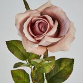 Long Stem Dusty Pastel Pink Rose