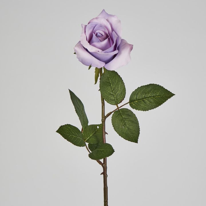 Long Stem Rose Purple