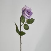 Long Stem Rose Purple