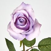 Long Stem Rose Purple