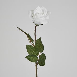 Long Stem Rose Pure White