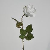 Long Stem Rose Pure White