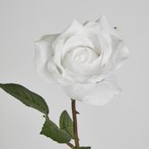 Long Stem Rose Pure White