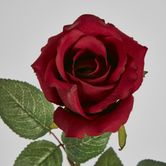 Long Stem Rose Red