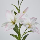 Sunshine Lily Light Pink