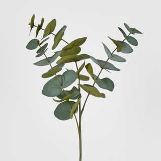 Grey Green Eucalyptus Spray