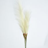 Cream White Pampas Bush x 3