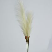 Cream White Pampas Bush x 3