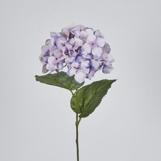 68cm Lilac Domed Hydrangea