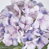 68cm Lilac Domed Hydrangea