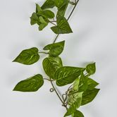 5ft Green Pothos Garland UV Protected