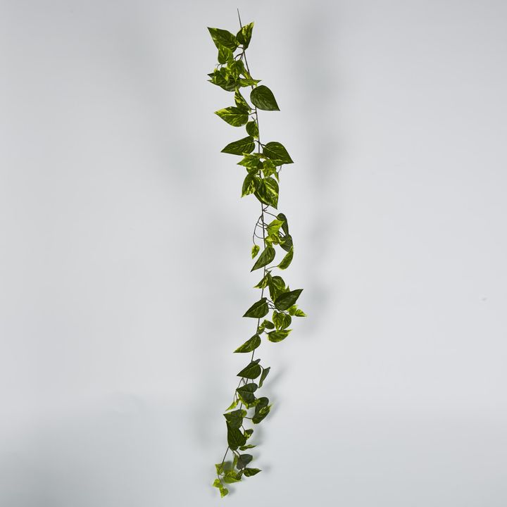 5ft Green Yellow Pothos Garland UV Protected